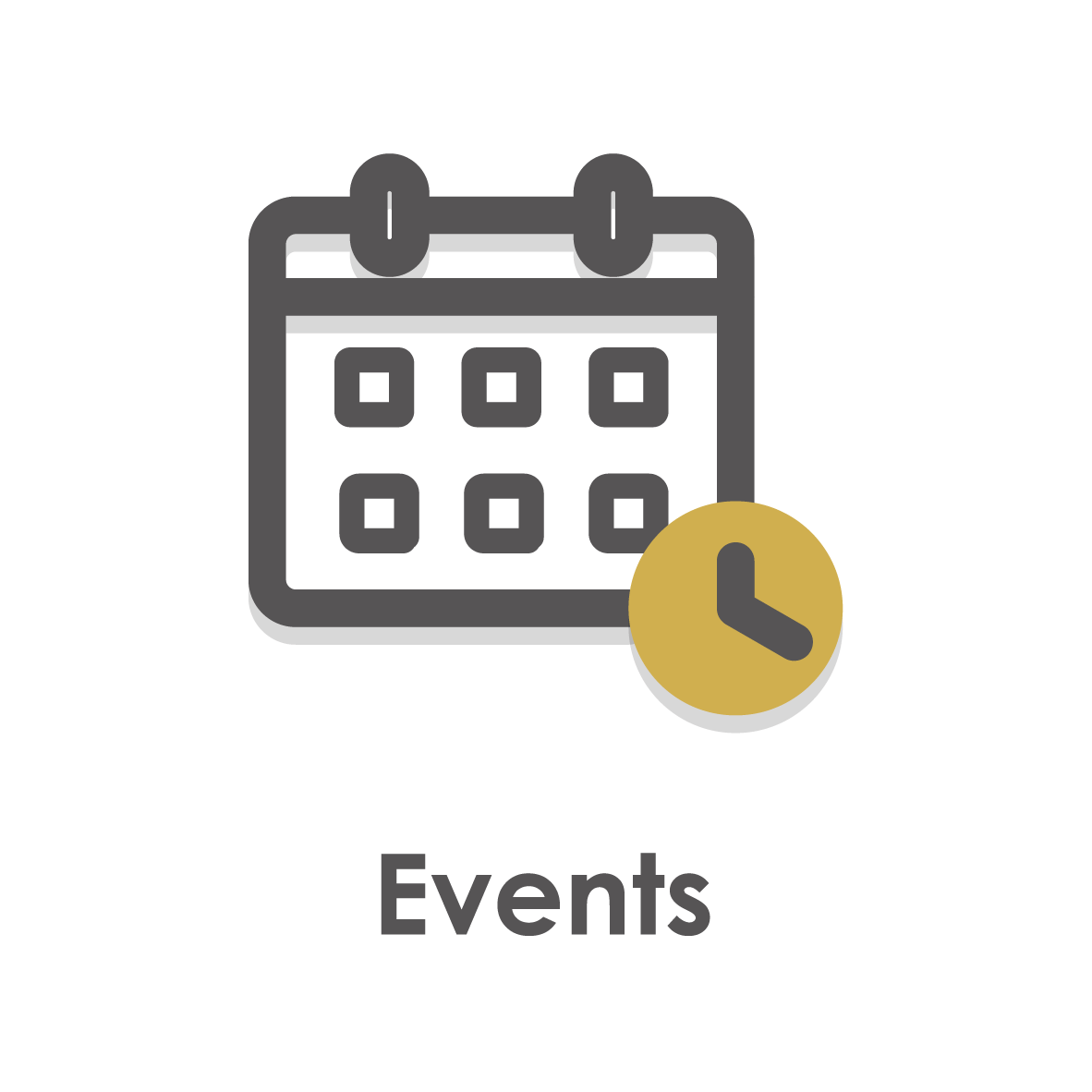 VIP Events